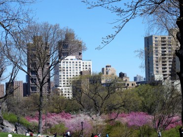 Central Park