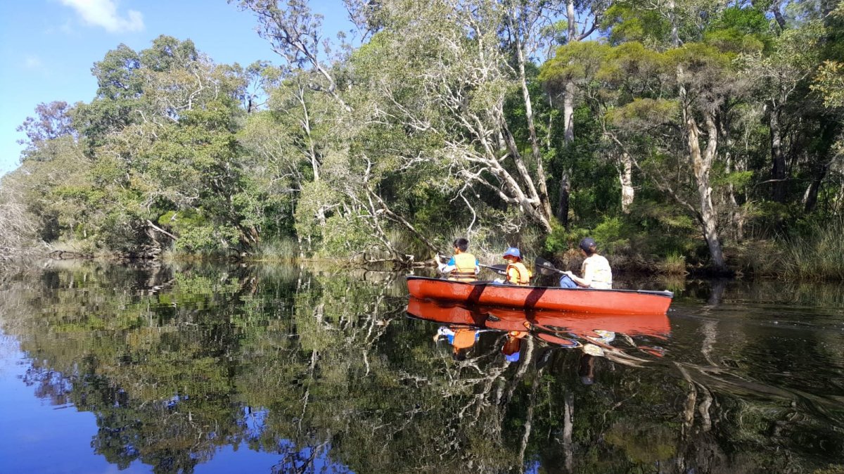 Noosa mit Everglades