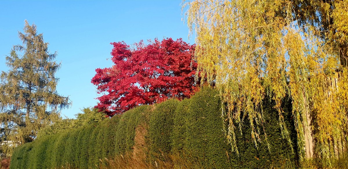 Back Home im farbenfrohen&nbsp;Herbst