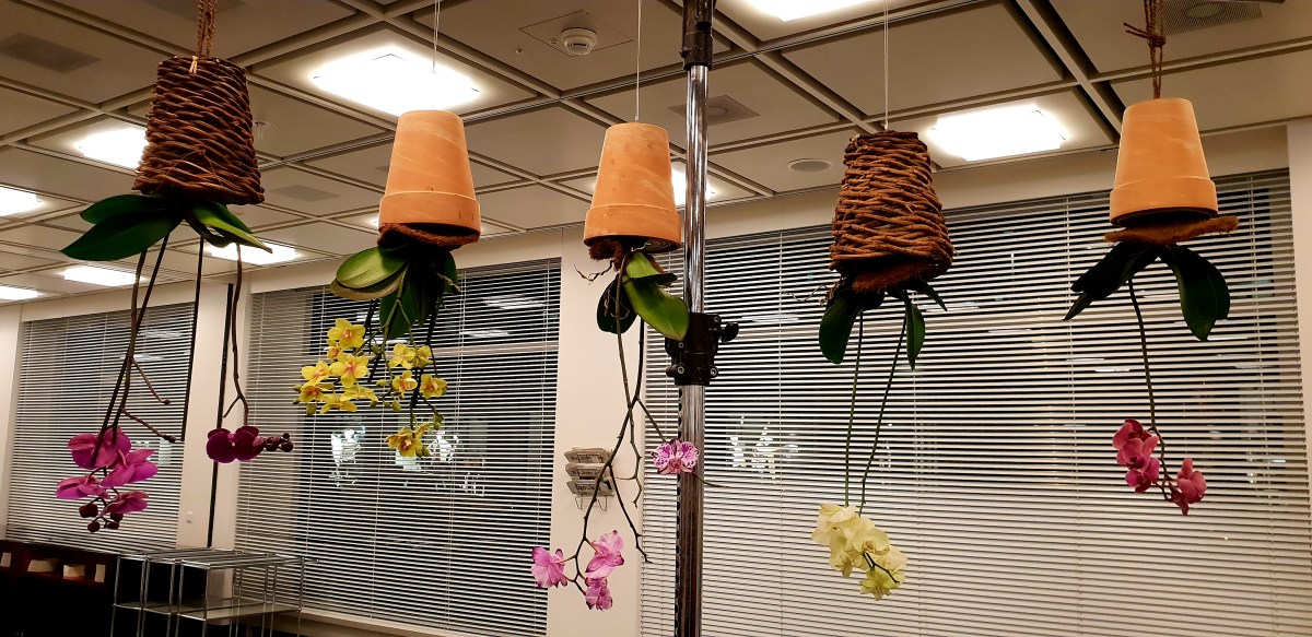 Neues erleben und mich inspirieren&nbsp;lassen