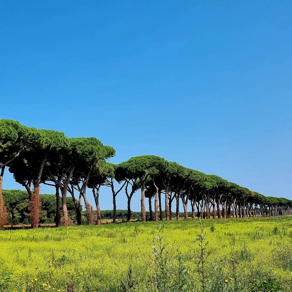 Aktivferien in der&nbsp;Toscana
