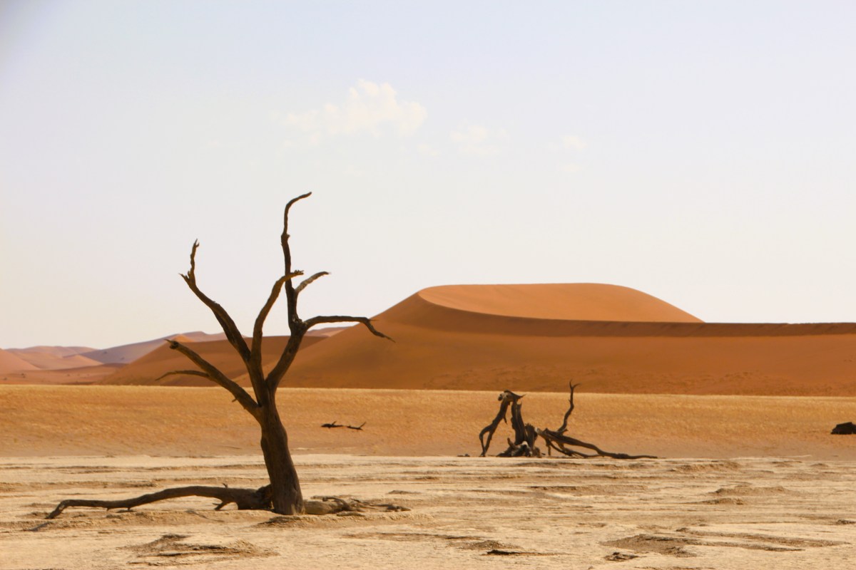 Namibia – Ruhe, Weite, Farben,&nbsp;Tiere